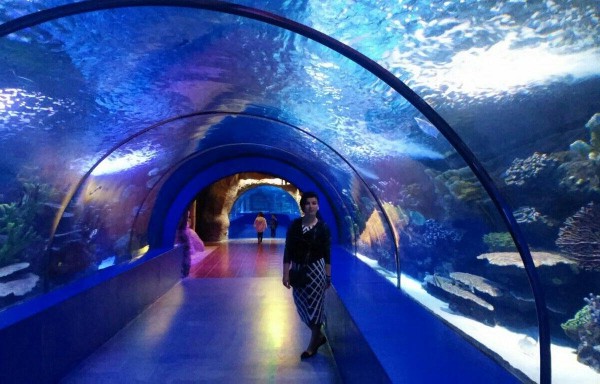 Antalya Akvaryum Turu ile Su Altı Dünyasını Keşfedin